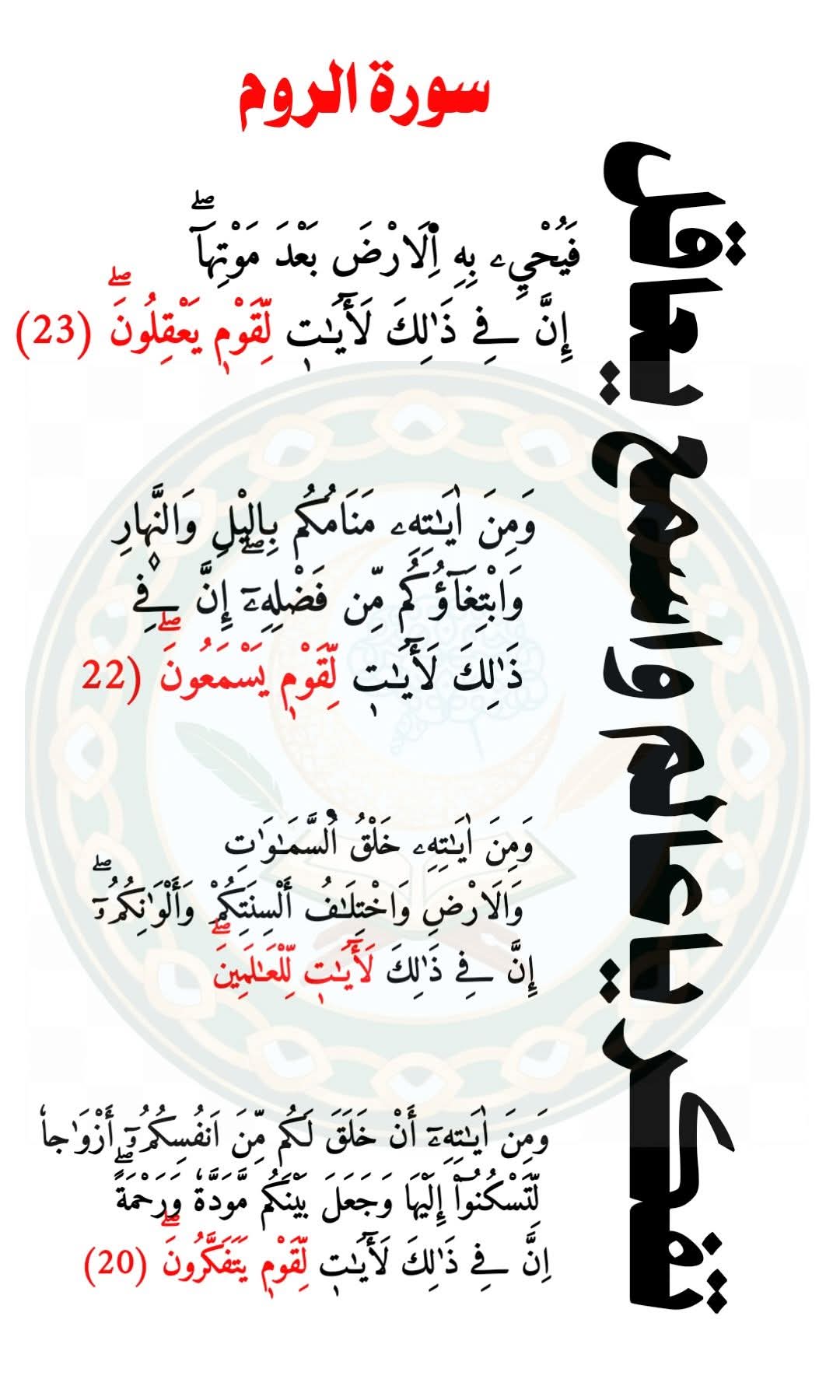 Aisha hosny mohammed